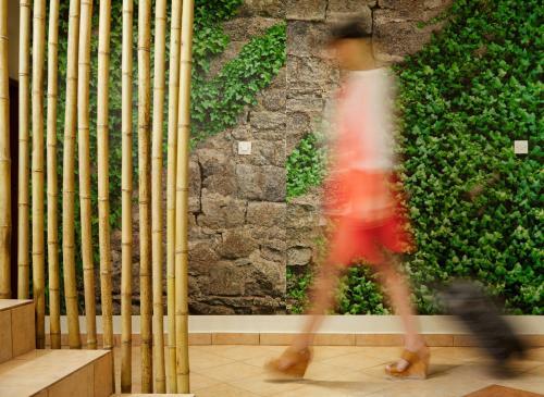 Hotel Menel The Tree House- Adults Only