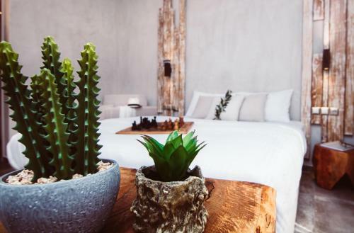 Apartamento Olea House