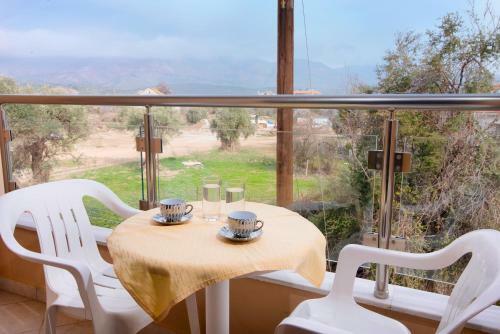Hotel Villa Oasis
