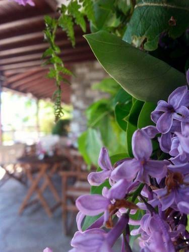 Hostal Anemoessa Traditional Guesthouse