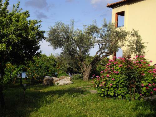 Aparthotel Magda Hotel Apartments