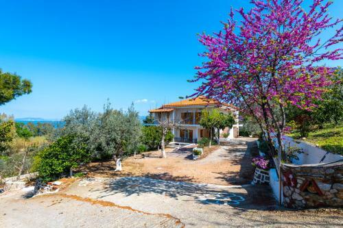 Maria Apartments Studios Epidavros