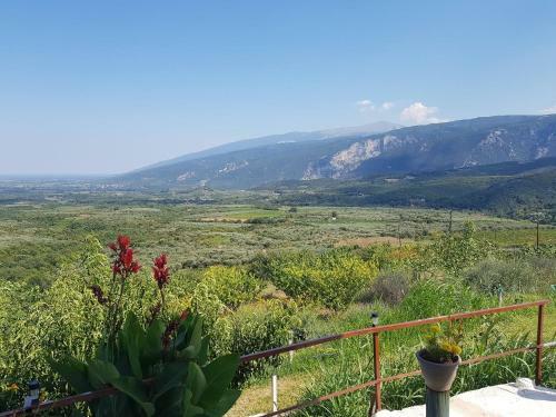Farma Tsalta Olympus