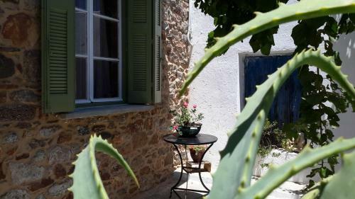 Granny's Olive Mill Villa