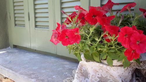 Granny's Olive Mill Villa