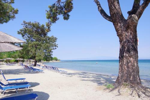 Hotel Rachoni Bay