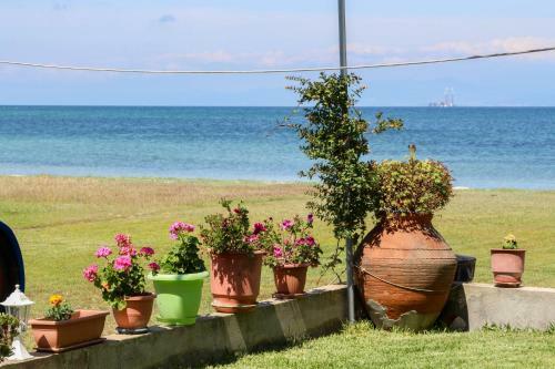Apartamento Studios Avra