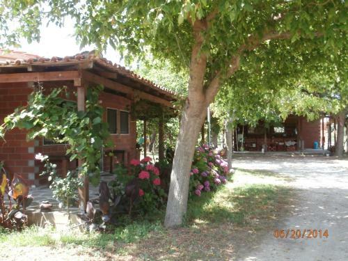 Apartamento Perseus Studios