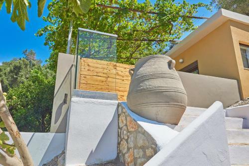 Villa Pura Vida