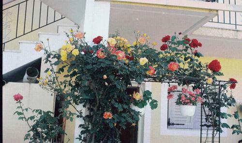 Hostal The Garden's Studios