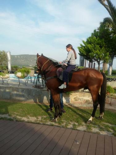 Apartamento Ariadnes Holiday Accommodation I