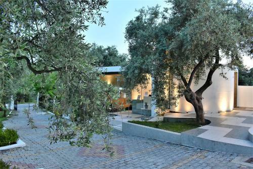 Studios Apartments Irini Patira