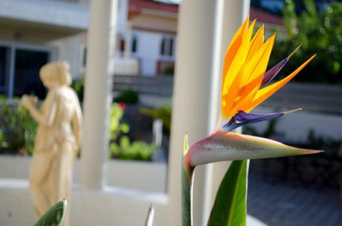 Aparthotel Hotel Estia