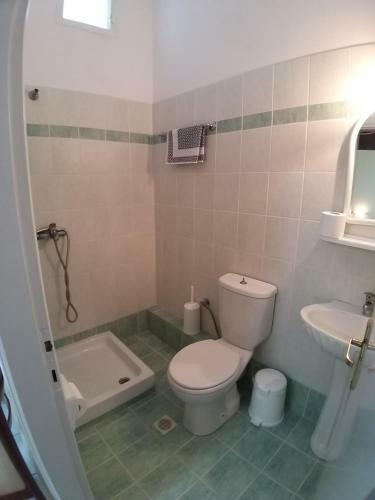 Hotel Anesis
