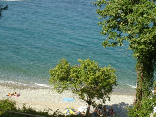 Hotel Anesis