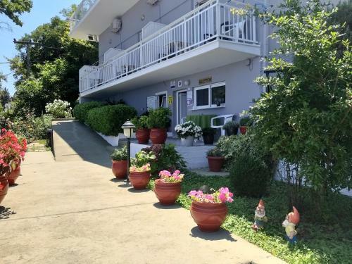 Hotel Anesis