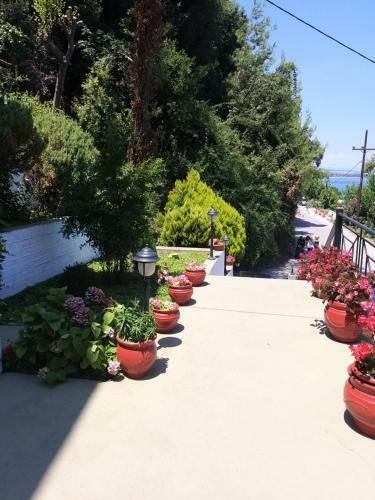 Hotel Anesis