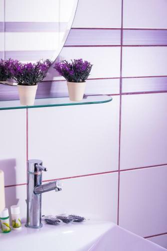 Apartamento Studios Lotos