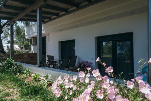 Apartamento Scandia Villas