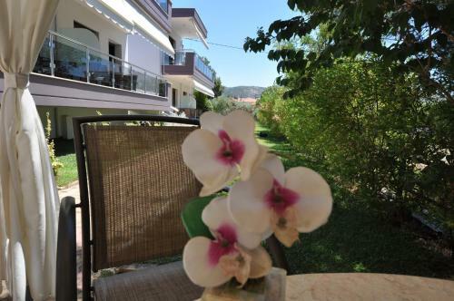 Apartamento Sissy's Suites Potos Thassos