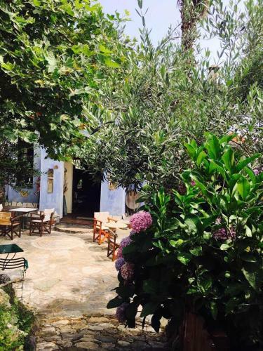 Damouchari Hotel