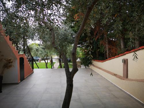 Villa "sasa" (san Antonio Studios & Apartments)