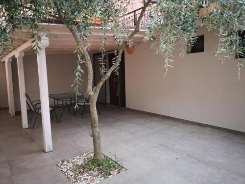 Villa "sasa" (san Antonio Studios & Apartments)