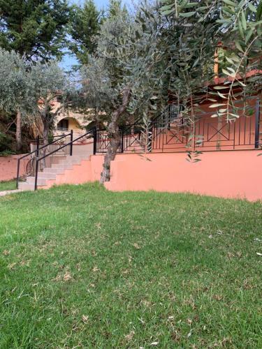 Villa "sasa" (san Antonio Studios & Apartments)