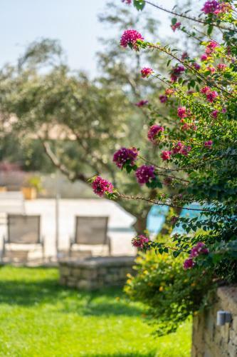 Apartamento Abelia Luxurious Villas