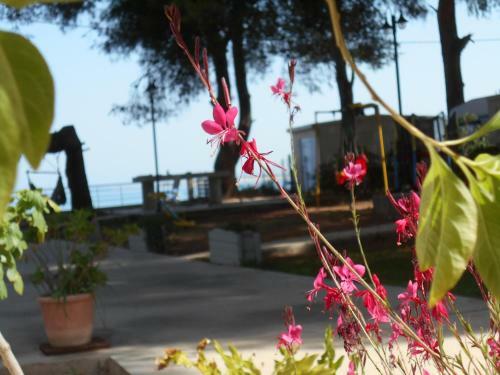Brunello Seaside Apartments