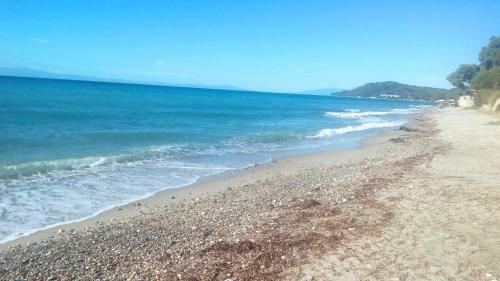 Apartamento Home By The Sea
