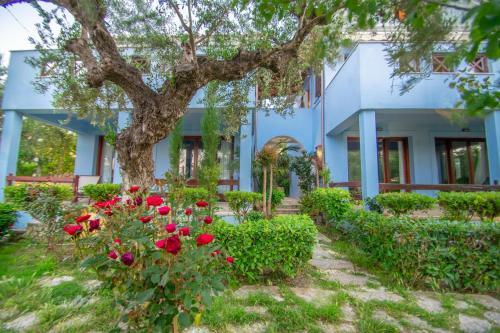 Apartamento Bella Mare Tsilivi Villas