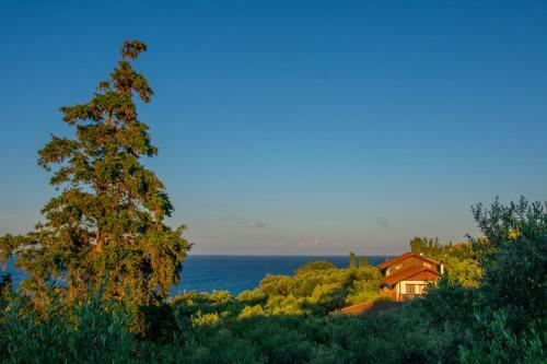 Apartamento Bella Mare Tsilivi Villas