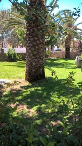 Apartamento Flisvos Rooms