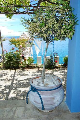 Apartamento Kastra