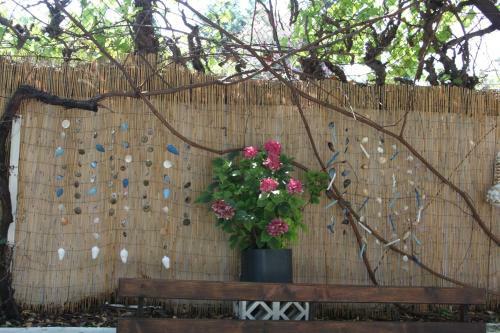 Apartamento House Ekton