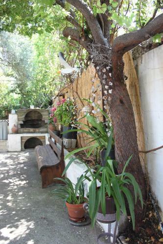 Apartamento House Ekton