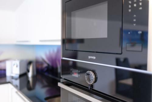 Studio Apartment Maslina