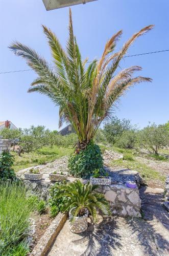 Holiday Home Mladen