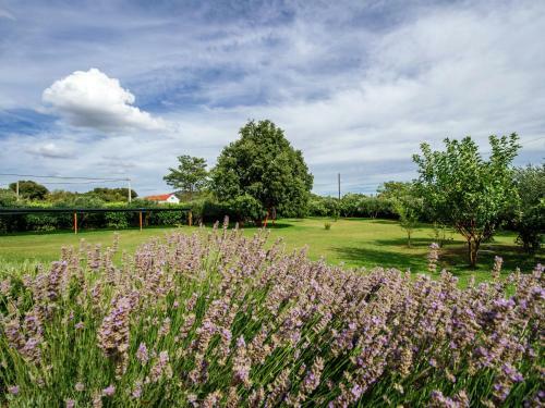 Spacious Holiday Home In Kakma With Pool