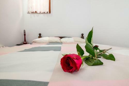 Apartments Lastro
