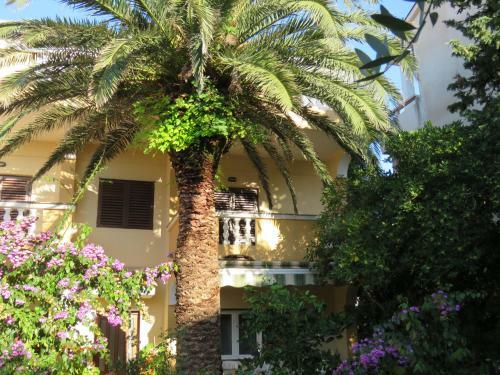 Hostal Apartments Palma Novalja