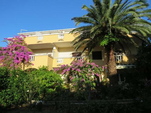 Hostal Apartments Palma Novalja