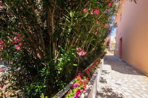 Apartment And Rooms Amenka