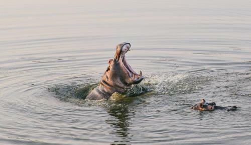 Hotel Monate Game Lodge