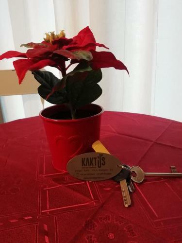 Kaktus B&B