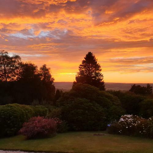 Lyme Tree House Bed And Breakfast