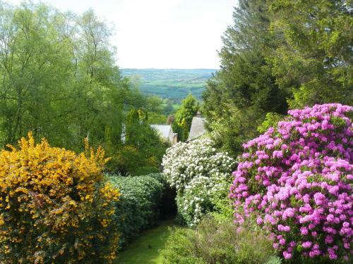 Lyme Tree House Bed And Breakfast
