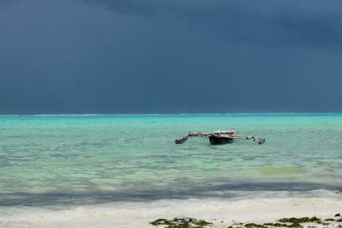 Hostal Bwejuu Beach Palm Villa