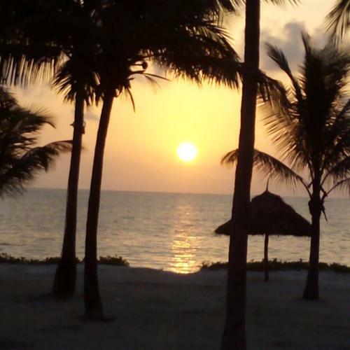 Hostal Bwejuu Beach Palm Villa